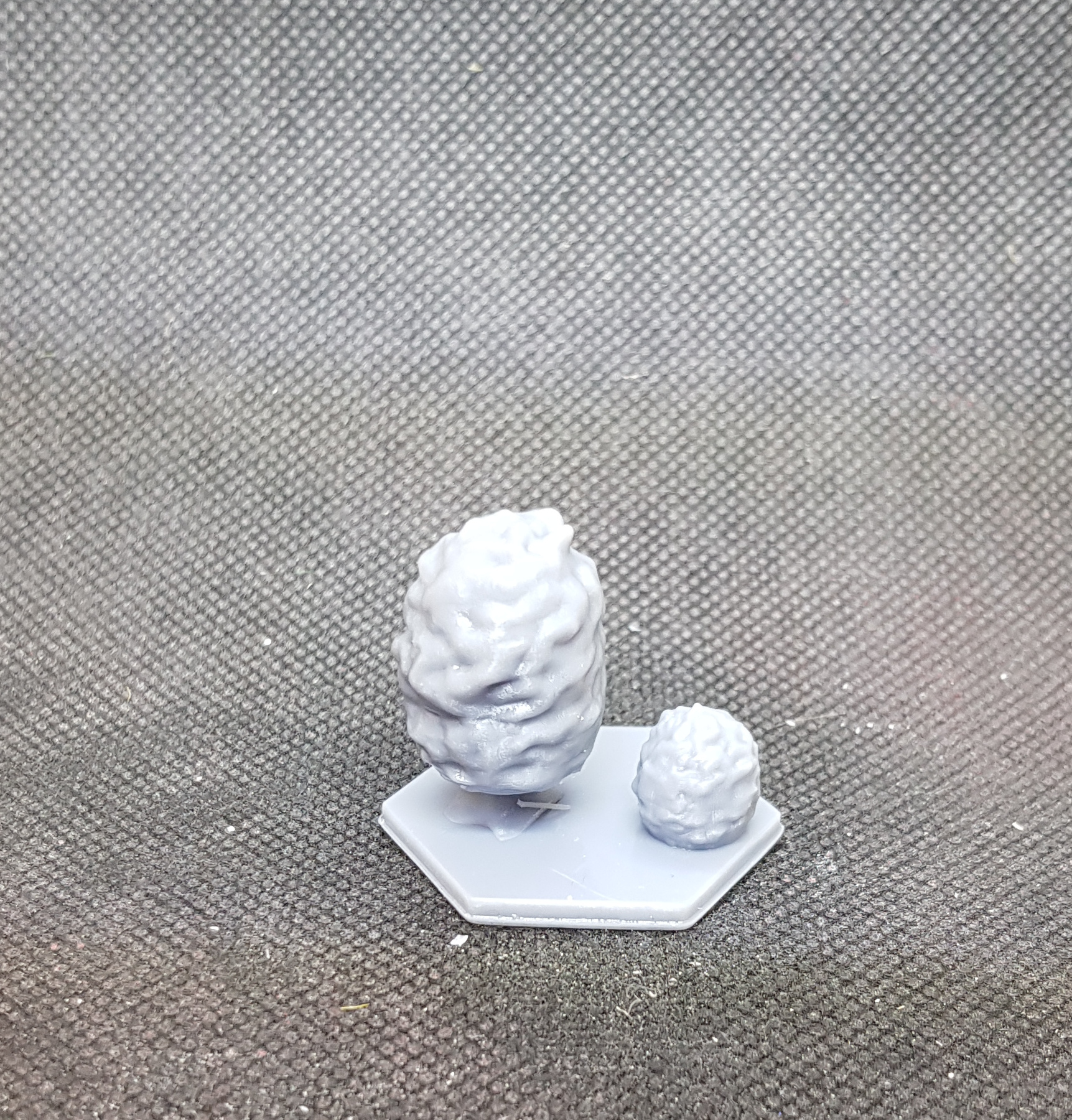 Basis